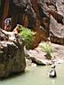 074_zion.jpg